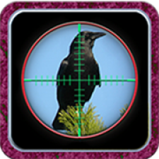 City Crow Hunting 3D for PC